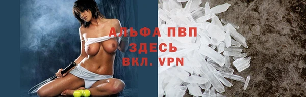 спайс Арсеньев