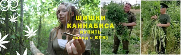 спайс Арсеньев