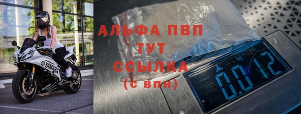 спайс Арсеньев