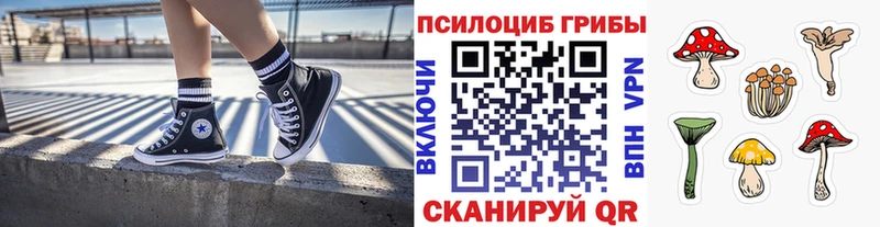 Псилоцибиновые грибы Magic Shrooms  Лукоянов 